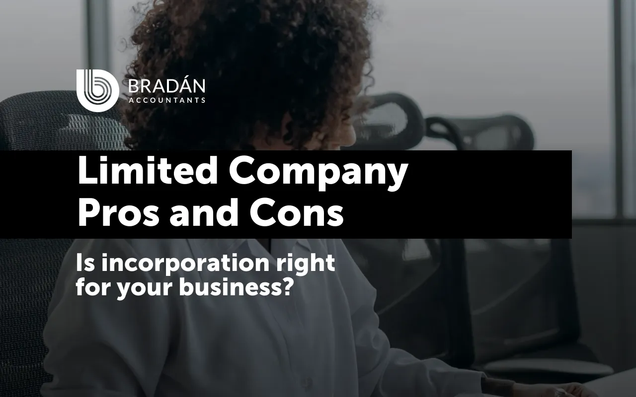 Pros and cons of a limited company in Ireland